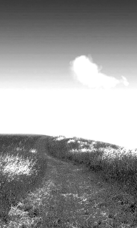 Золоте поле обои