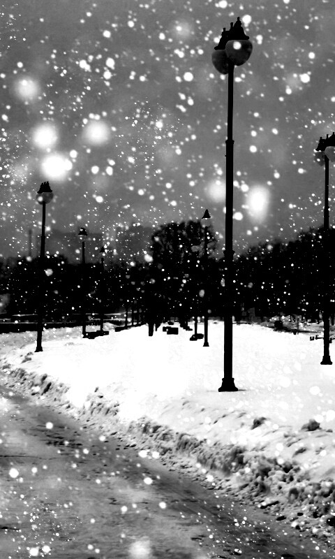 Зимняя набережная обои