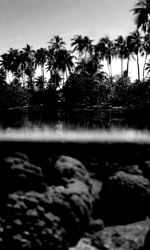 Из-под воды обои