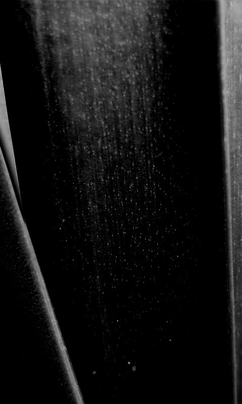 Сочная травинка обои