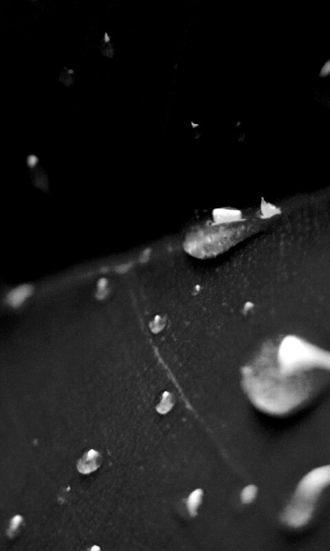 Капли на листе обои