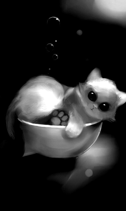 Котёнок в миске обои