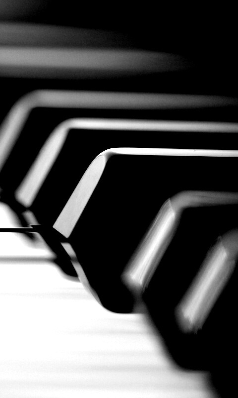 Клавиши  рояля обои