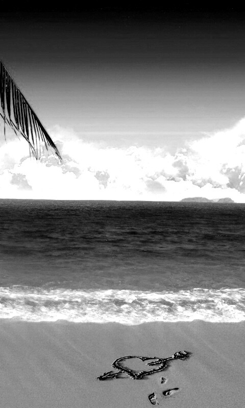 Любовь на океанском берегу обои