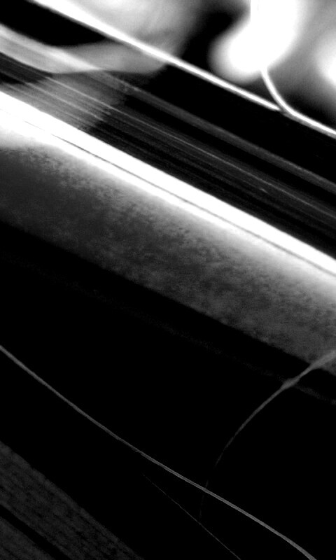 Желто-зеленые травинки обои