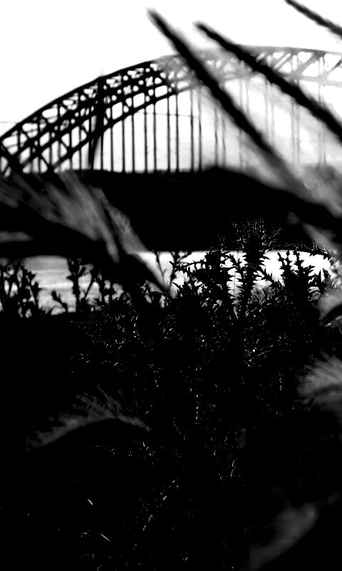 Железнодорожный мост обои