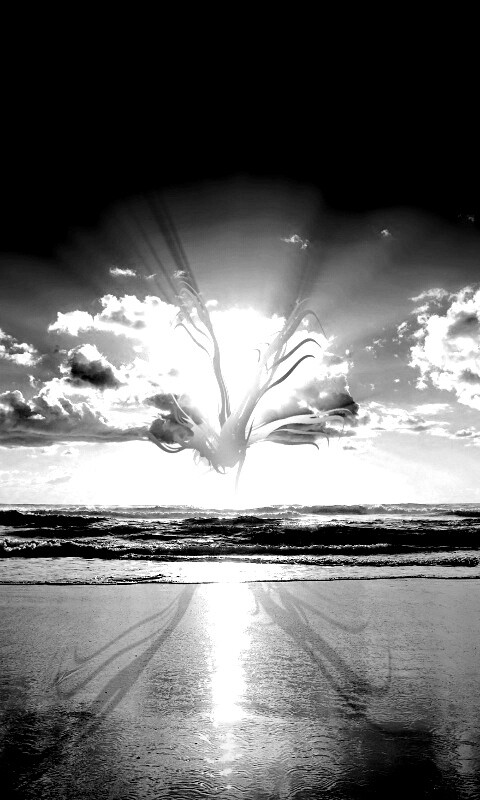 Абстрактные перья на фоне заката обои