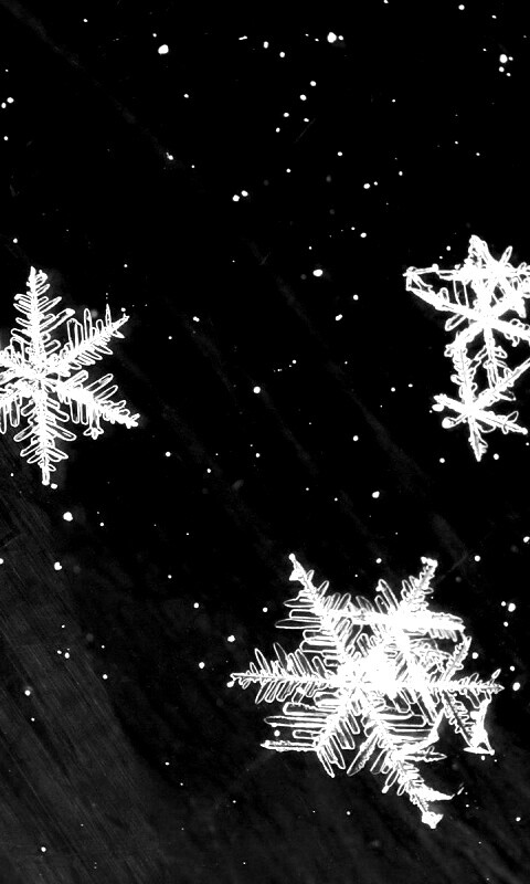 Снежинки обои