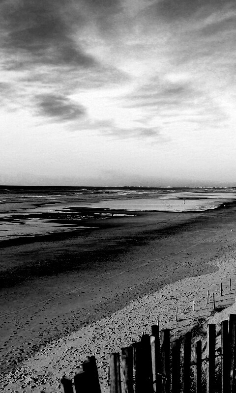 Обмелевший берег обои