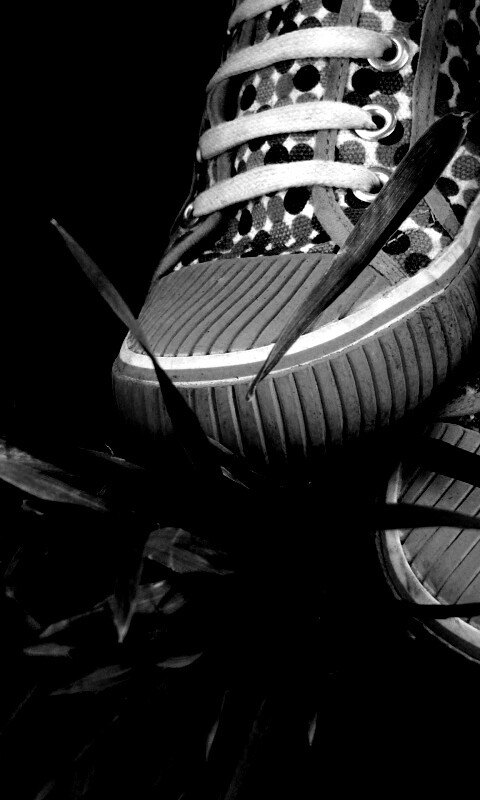 Желтые кеды в горошек обои