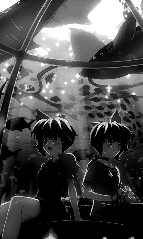 В океанариуме обои