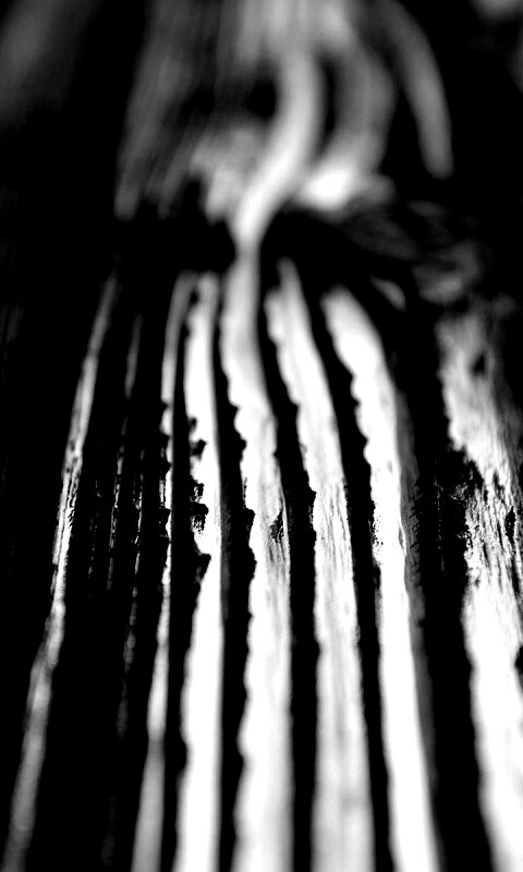 Рельефная доска обои