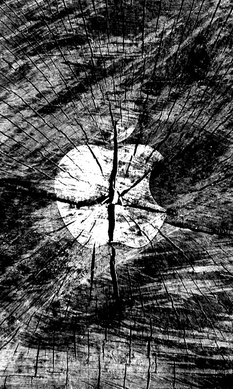 Логотип Apple на бревне обои