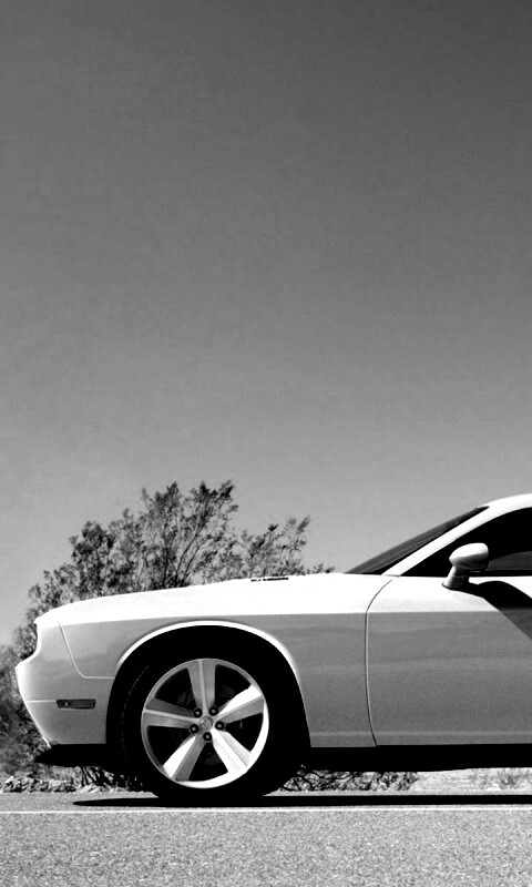 Стартующий Форд Мустанг обои