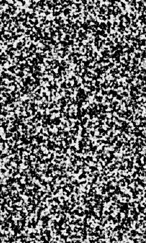 Черно-белый ковролин обои