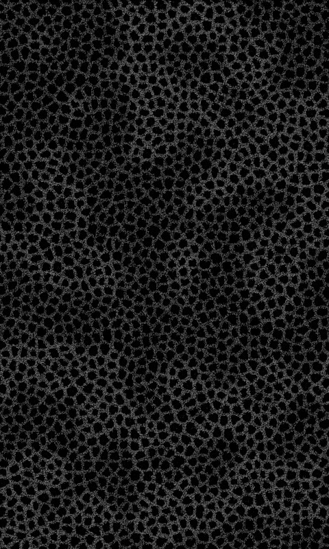 Пятнистая шкура обои