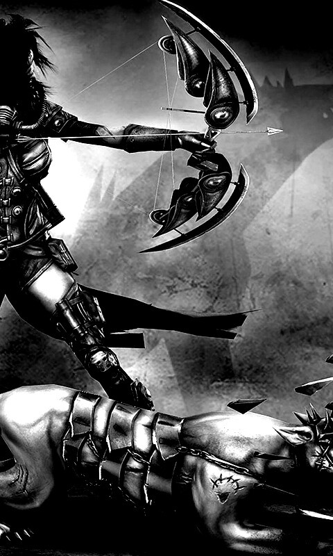 Лучница с боевым псмо обои