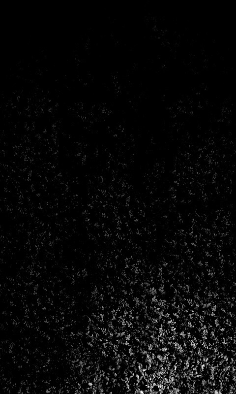 Травяной фон обои