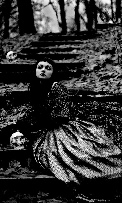 Среди черепов обои