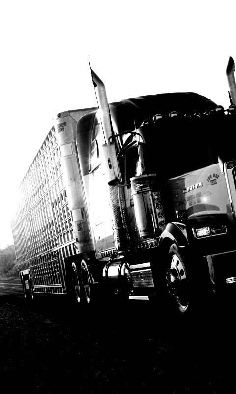 Дальнобой обои