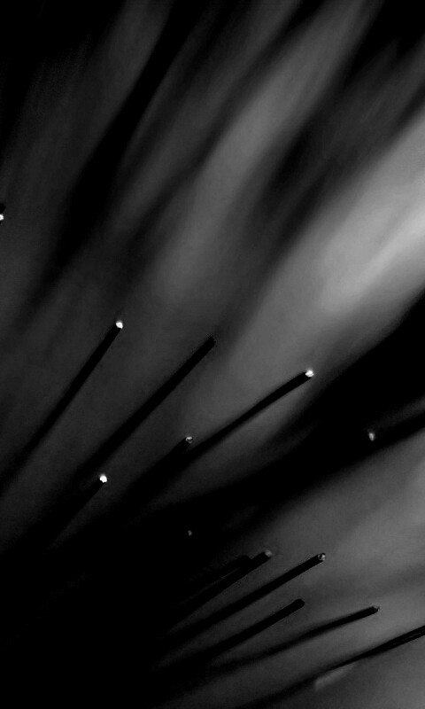 Световоды в рассеяном свете обои