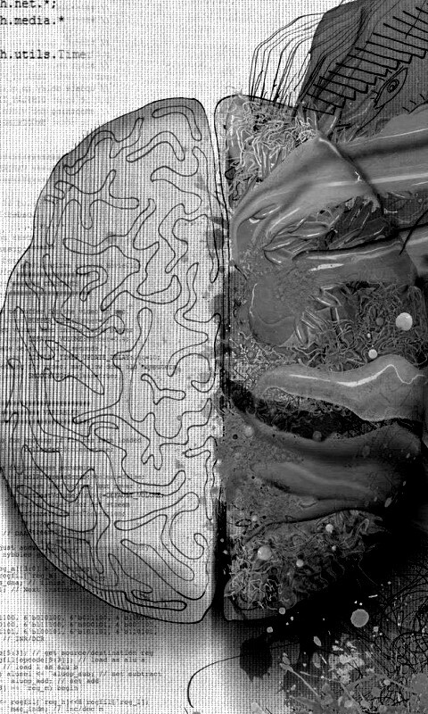 Различия левого и правого полушария обои