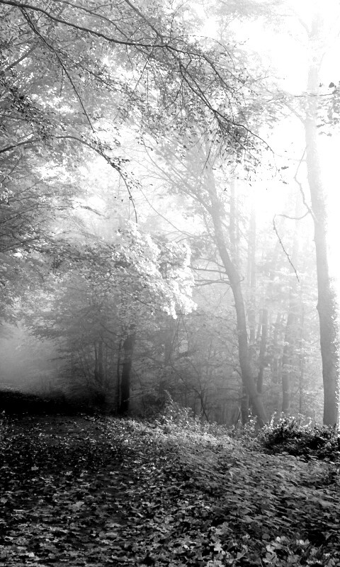 Осенний мистический пейзаж обои