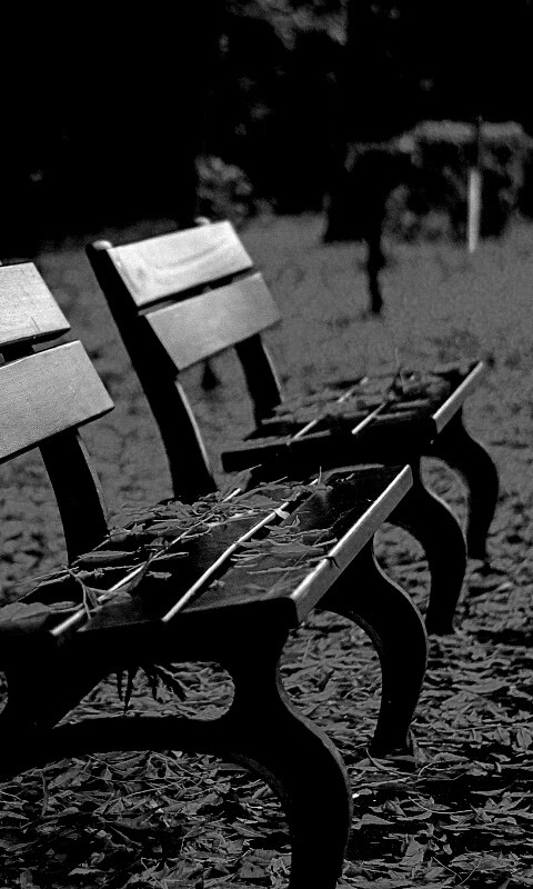 Лавочки в осеннем парке обои