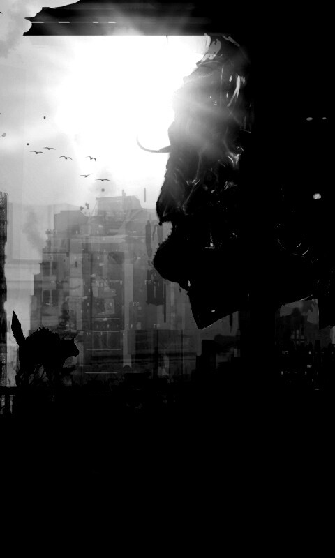 Кошкино удивление обои