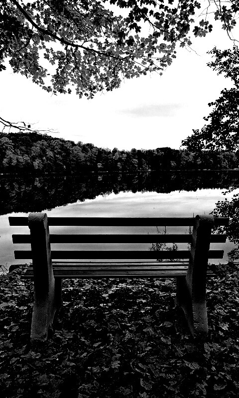 Вид на осеннее озеро обои