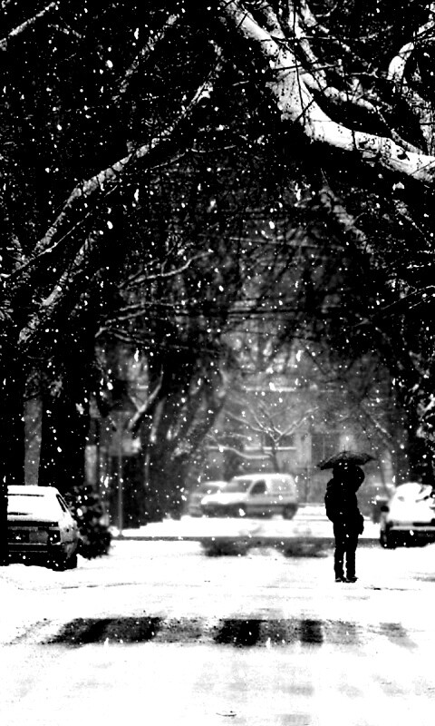 Зимняя улица обои