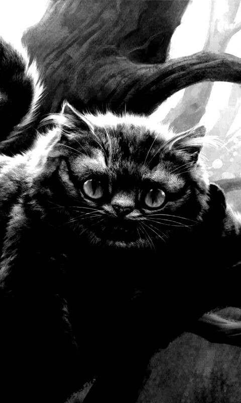 Чеширский кот обои