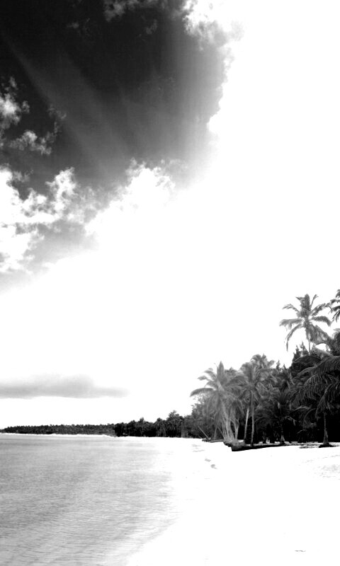 Тропическое побережье обои