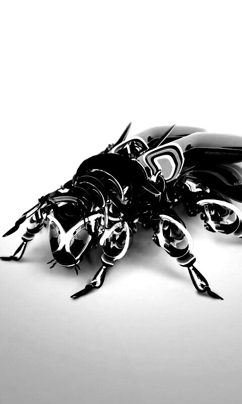 Кибер муха обои