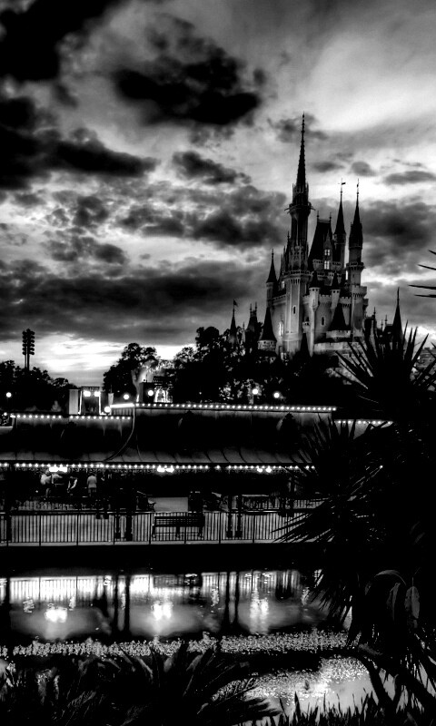 Диснеёленд вечером обои