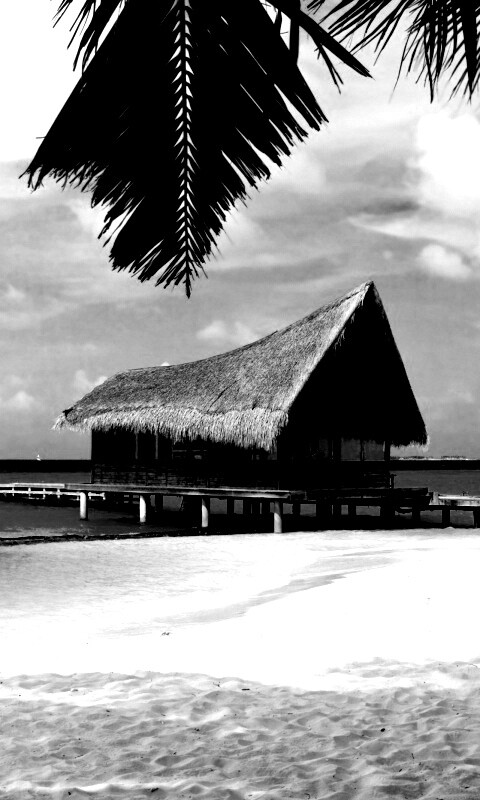 Бунгало обои