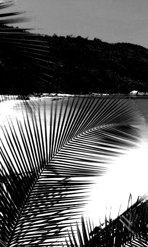 Лазурная лагуна обои