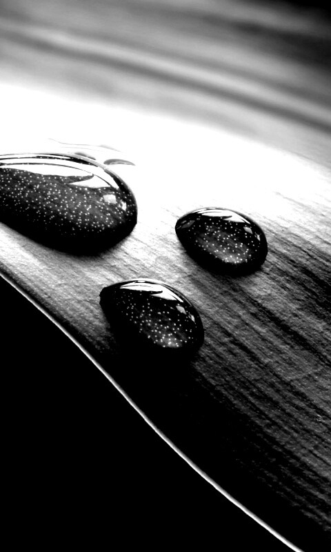 Капли на зеленом листе обои