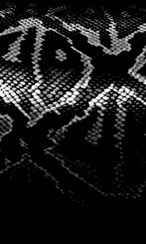 Змеиная кожа обои