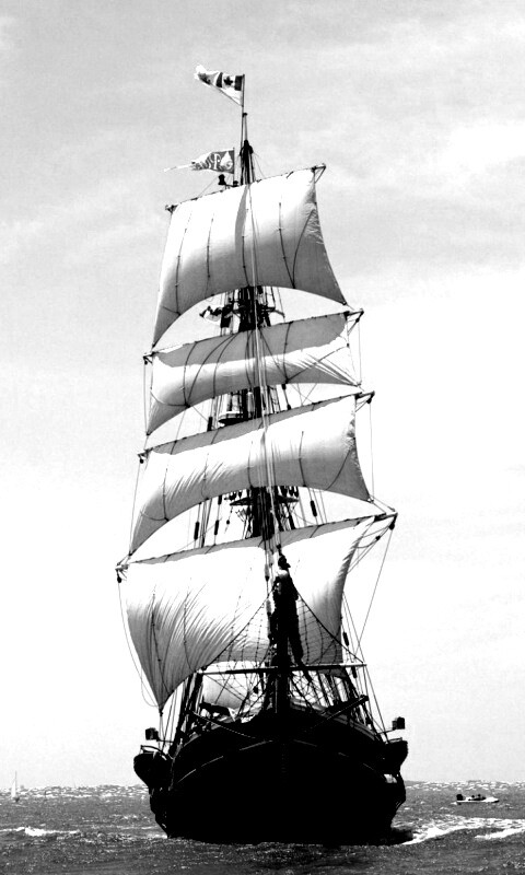 Парусник обои