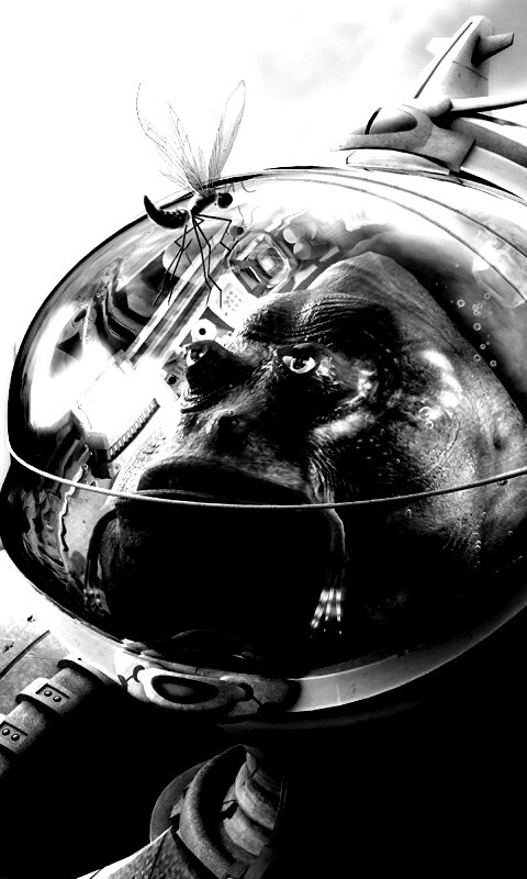 Инопланетянин и стрекоза обои