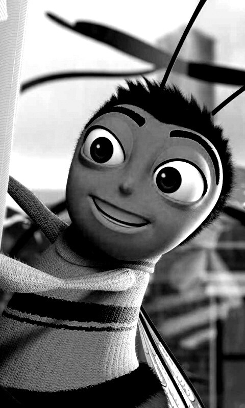 Бимуви обои