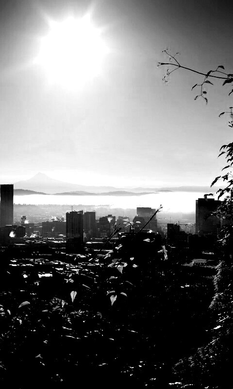 Утро в раю обои