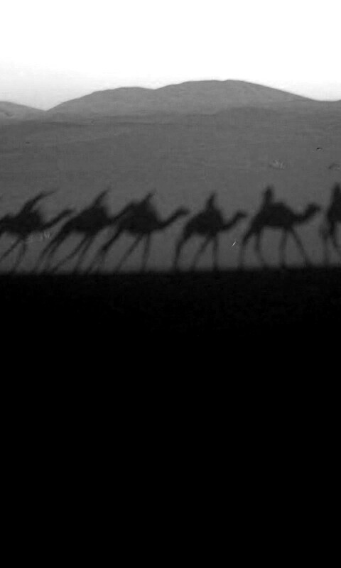 Караван обои