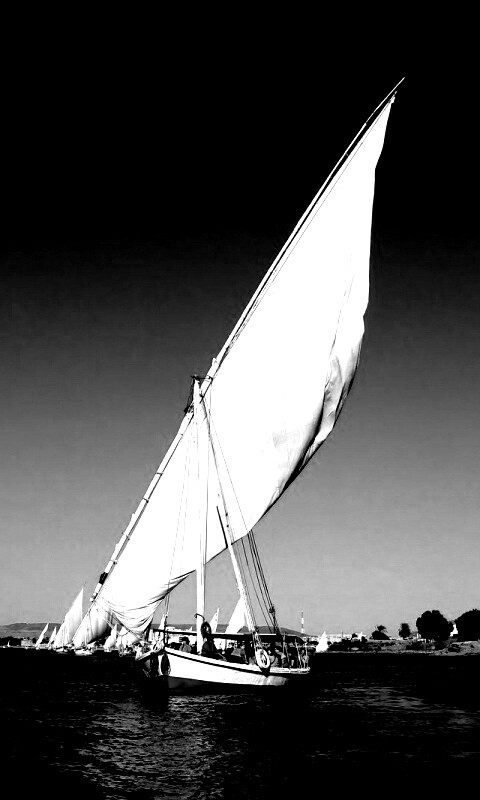 Под парусами обои