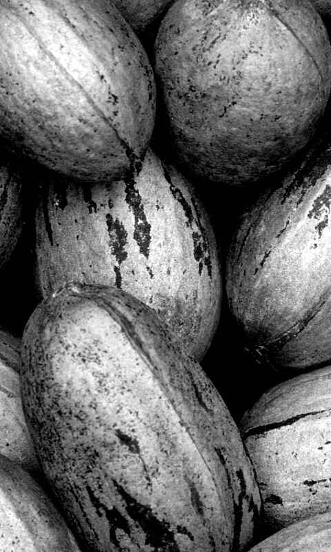 Грецкие орехи обои