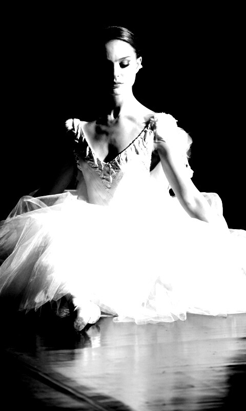 Черный лебедь обои