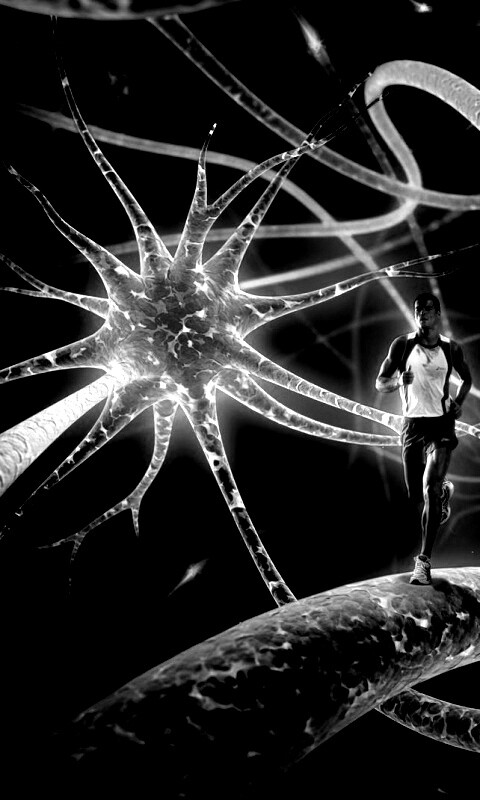 Бег мыслей обои