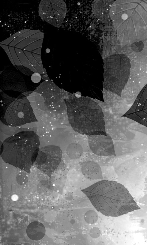 Прозрачные листья обои