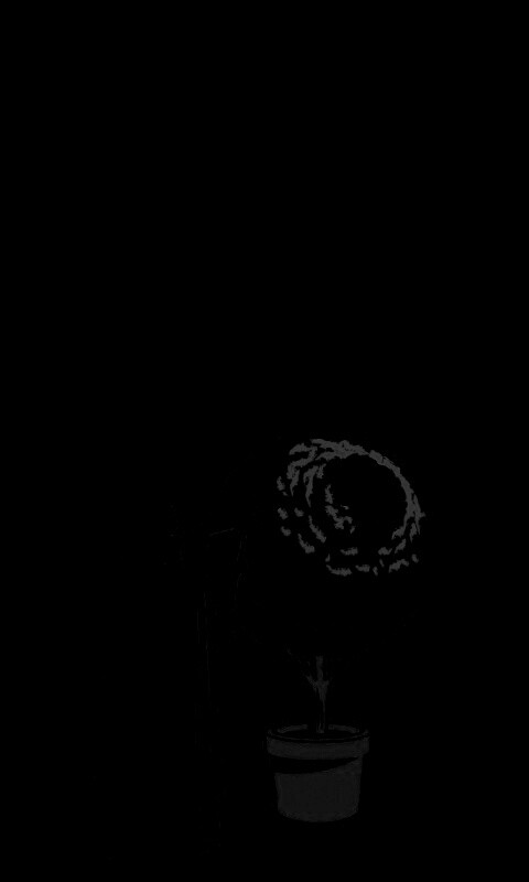 Дарт Вейдер постригает куст обои